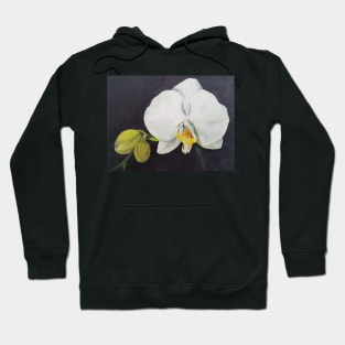 Phaelenopsis - moth orchid painting Hoodie